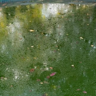High Quality Algaecide 20 Litres Algicide algae controller remover