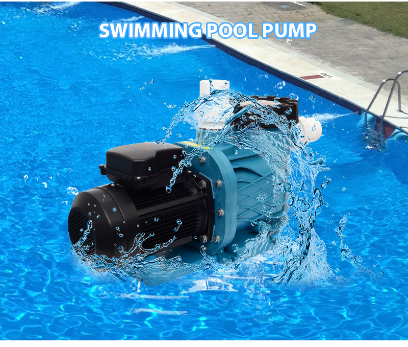 Deep Blue Pro Frequency Conversion Pump 2HP 220V for Energy Efficiency - Image 9
