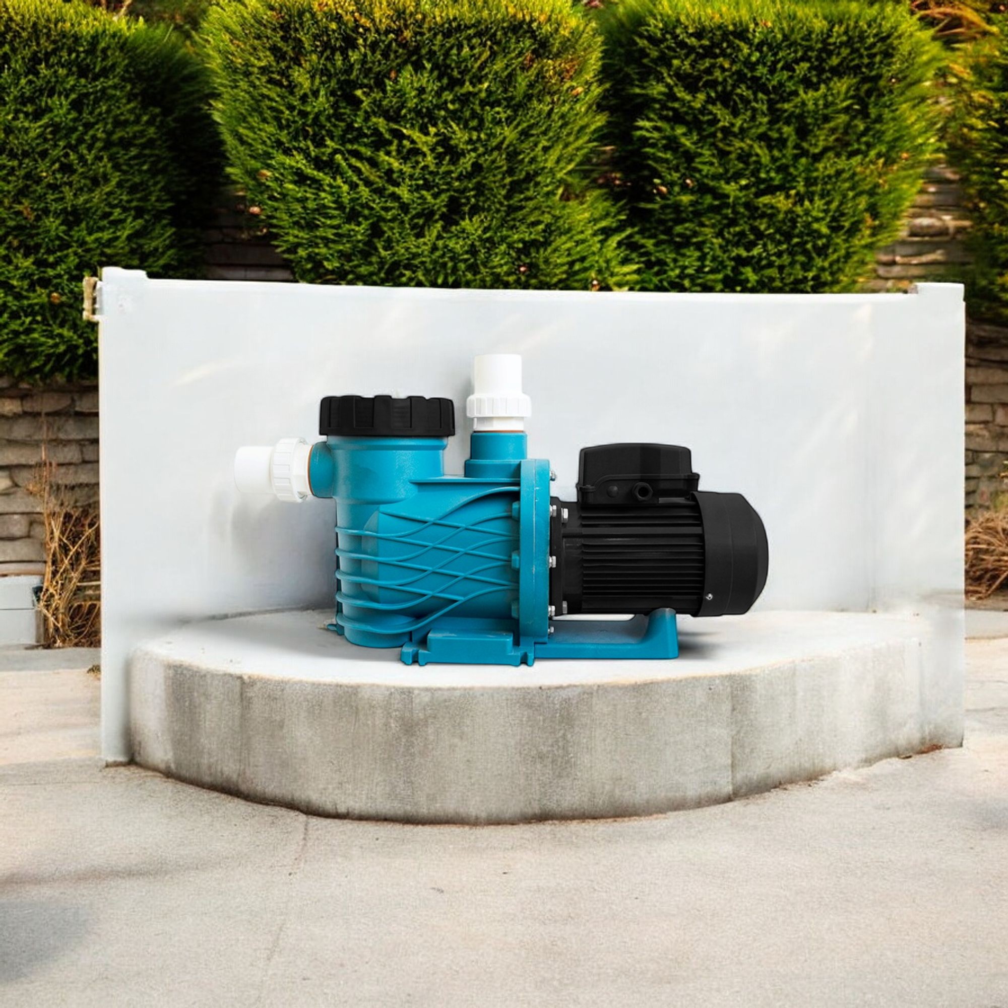 Deep Blue Pro Midas Pool Pump 1.0HP 220V/50Hz with 2" Connection - Image 25